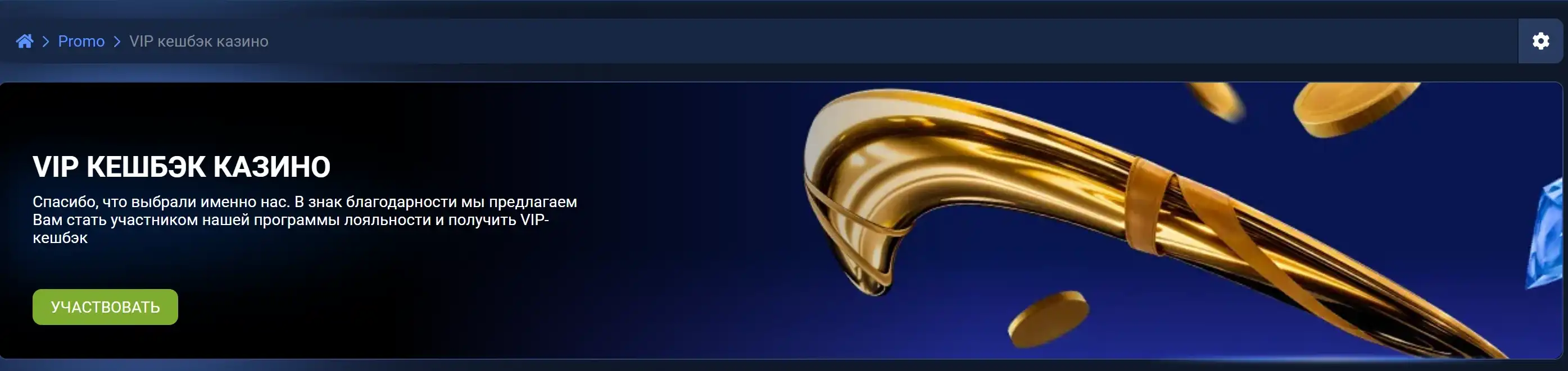 Что такое 1xBet VIP кэшбэк